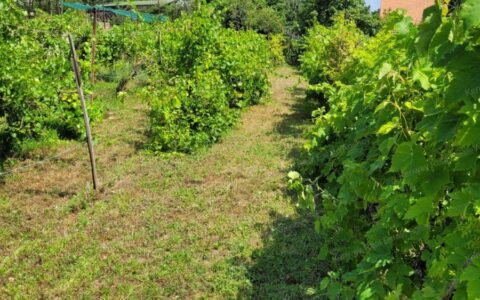  eladó ház Érd ( Parkváros ) Eladó családi ház 11