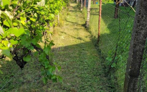  eladó ház Érd ( Parkváros ) Eladó családi ház 12