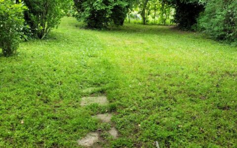 eladó ház Érd ( Parkváros ) Eladó családi ház 13