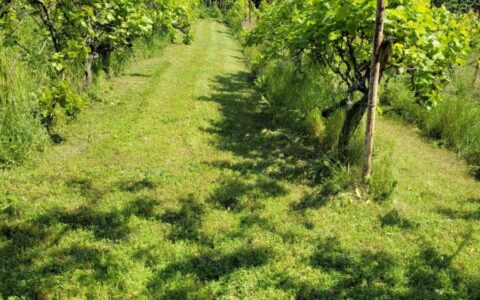 eladó ház Érd ( Parkváros ) Eladó családi ház 14