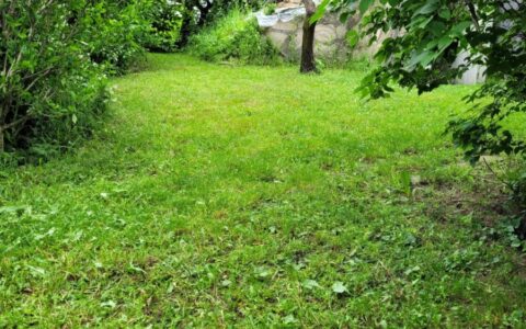  eladó ház Érd ( Parkváros ) Eladó családi ház 15