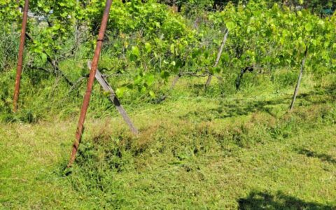  eladó ház Érd ( Parkváros ) Eladó családi ház 16
