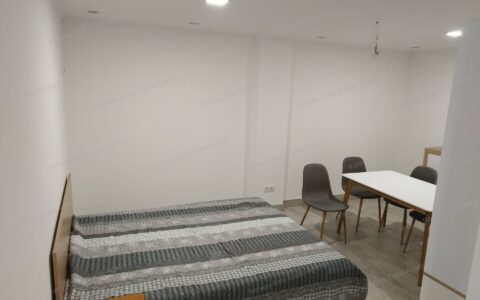 Budapest IX. kerület eladó ház Mester utcában 5 db apartman egyben eladó 4