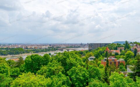  eladó ház PANORÁMÁS LUXUSLAKÁS A RÓZSADOMBON – PARLAMENTI ÉS DUNAI KILÁTÁSSAL 12